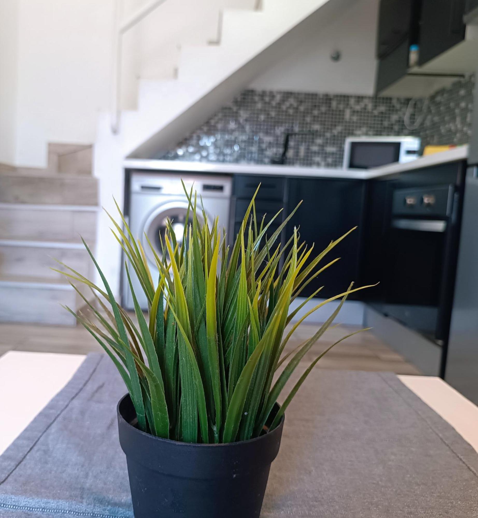 Bungalow Dunaflor Wifi Maspalomas  Dış mekan fotoğraf